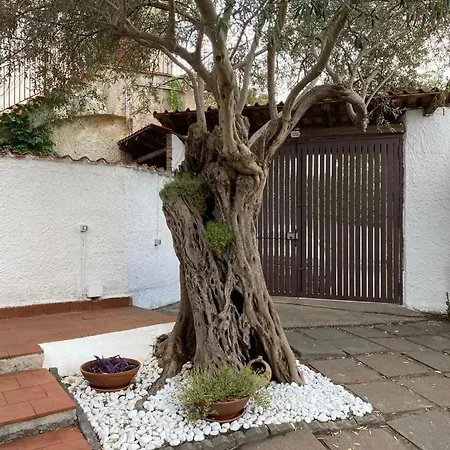Al Mare Con Giardino E Parcheggio Privato Σπίτι διακοπών *